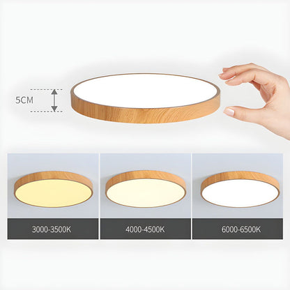 Deckenleuchte mit Eisenrahmen