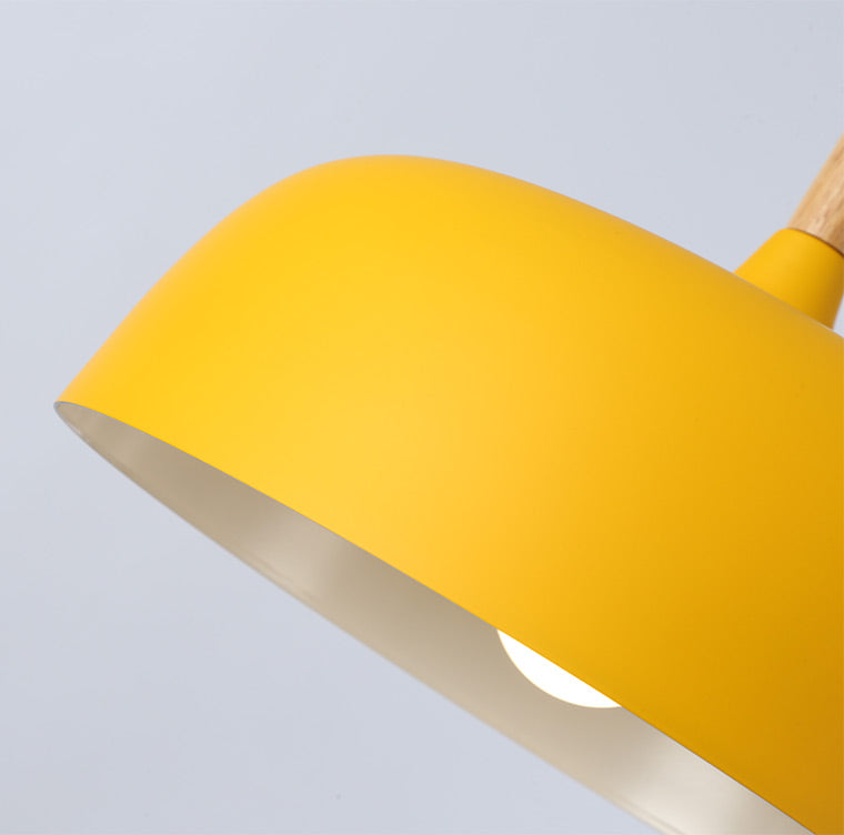 Lebendige Kuppel-Hängeleuchte