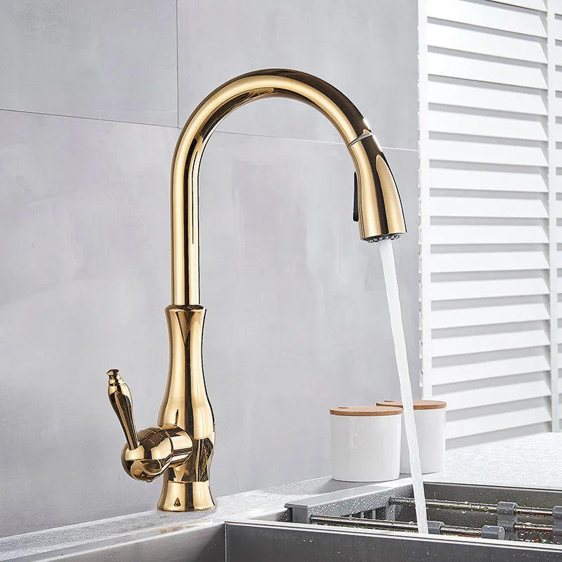 Luxuriöser Küchenwasserhahn mit ausziehbarem Sprühkopf
