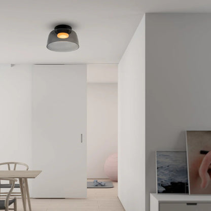 Antike Glas-Deckenleuchte des Designers