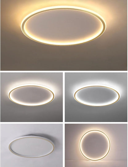 Zeitgenössische Scheiben-Deckenleuchte